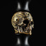 Maklaud Dzen F / Skull K Shisha Waterpipe