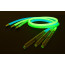 Glass Hose Palace Glow